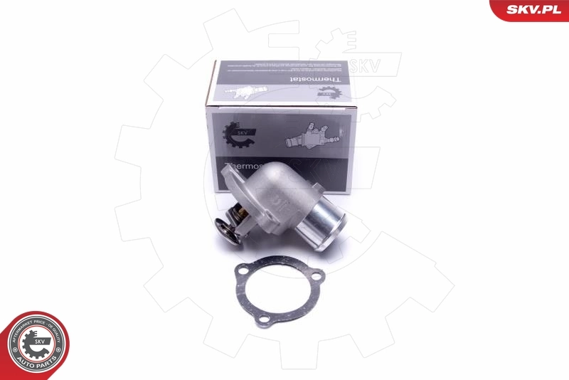 Thermostat, coolant